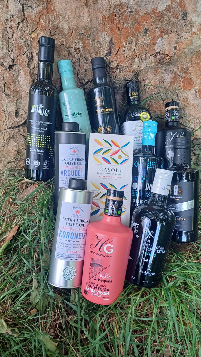 Olive oil tasting in Wimbledon